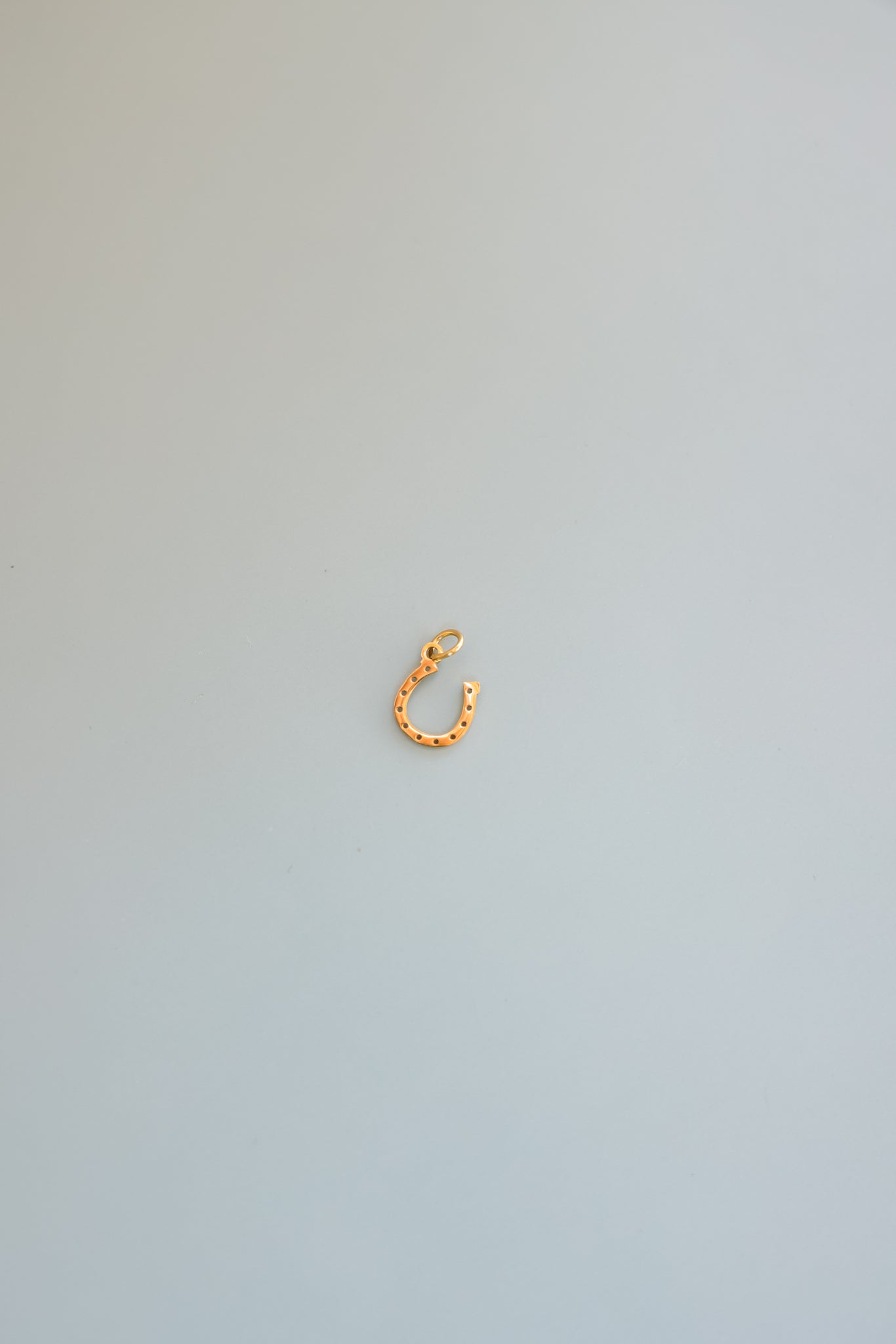 Gold Horseshoe Charm
