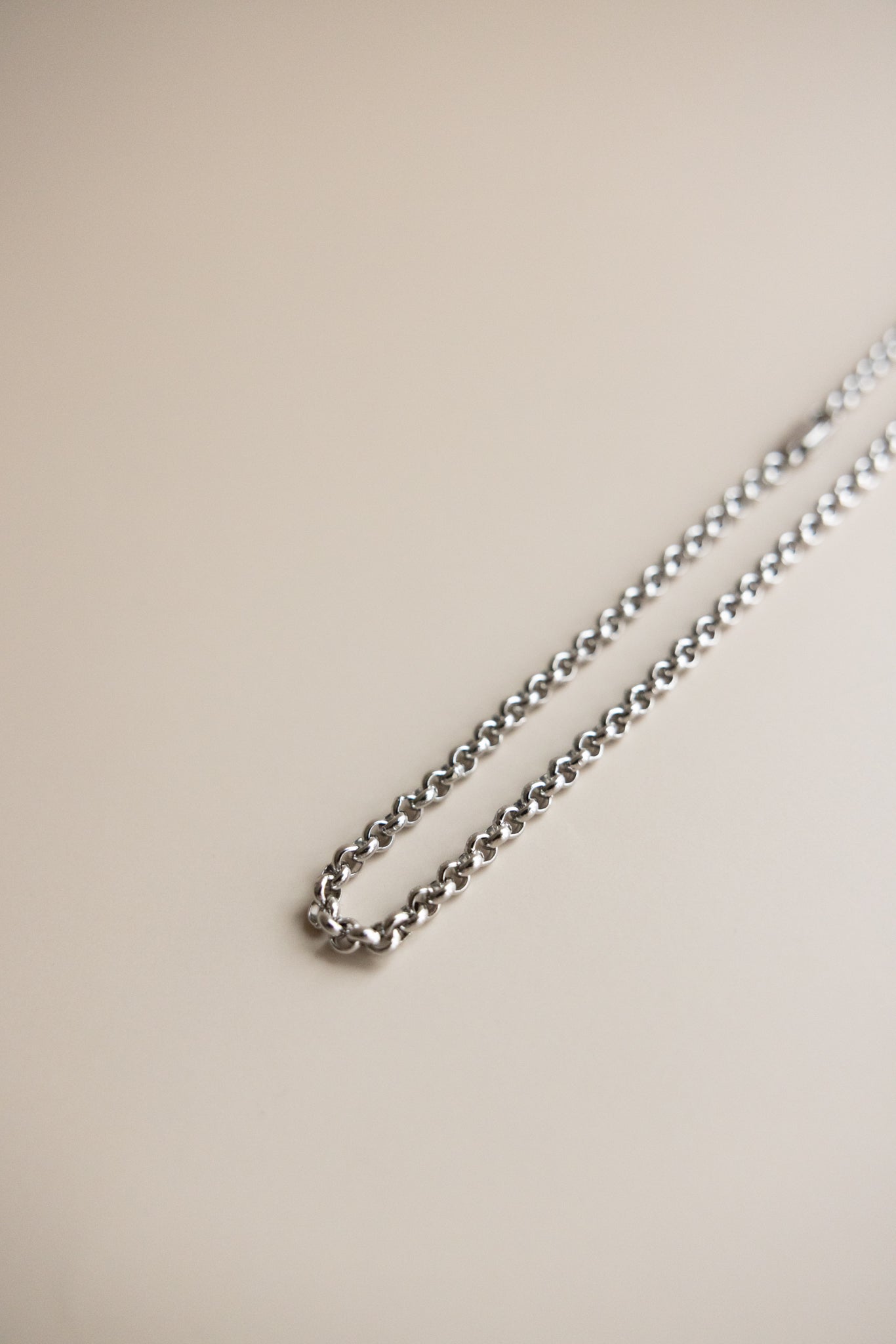 Men + Kid Rollo Stainless Steel Necklace