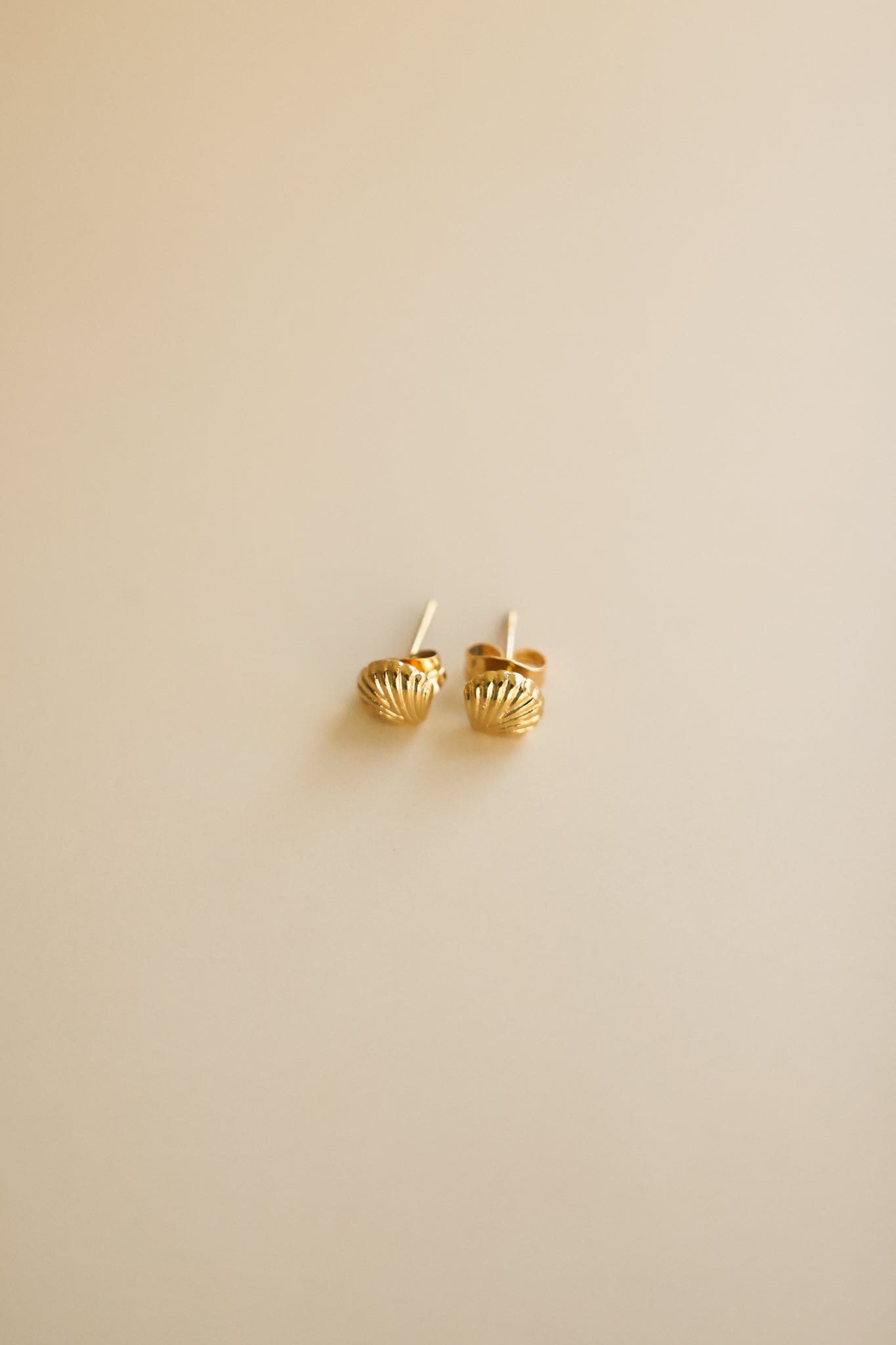 Gold Shell Stud Earrings