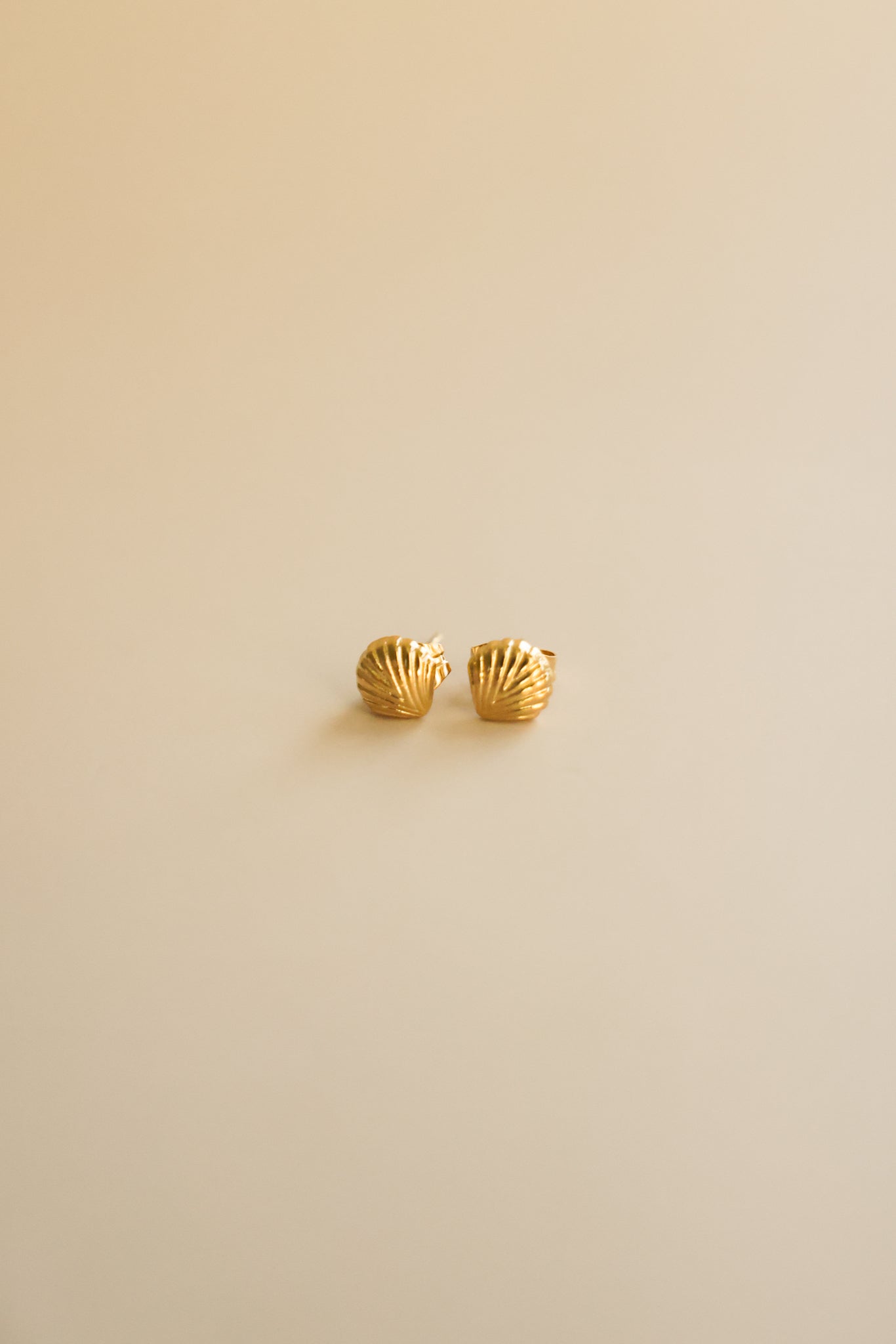 Gold Shell Stud Earrings