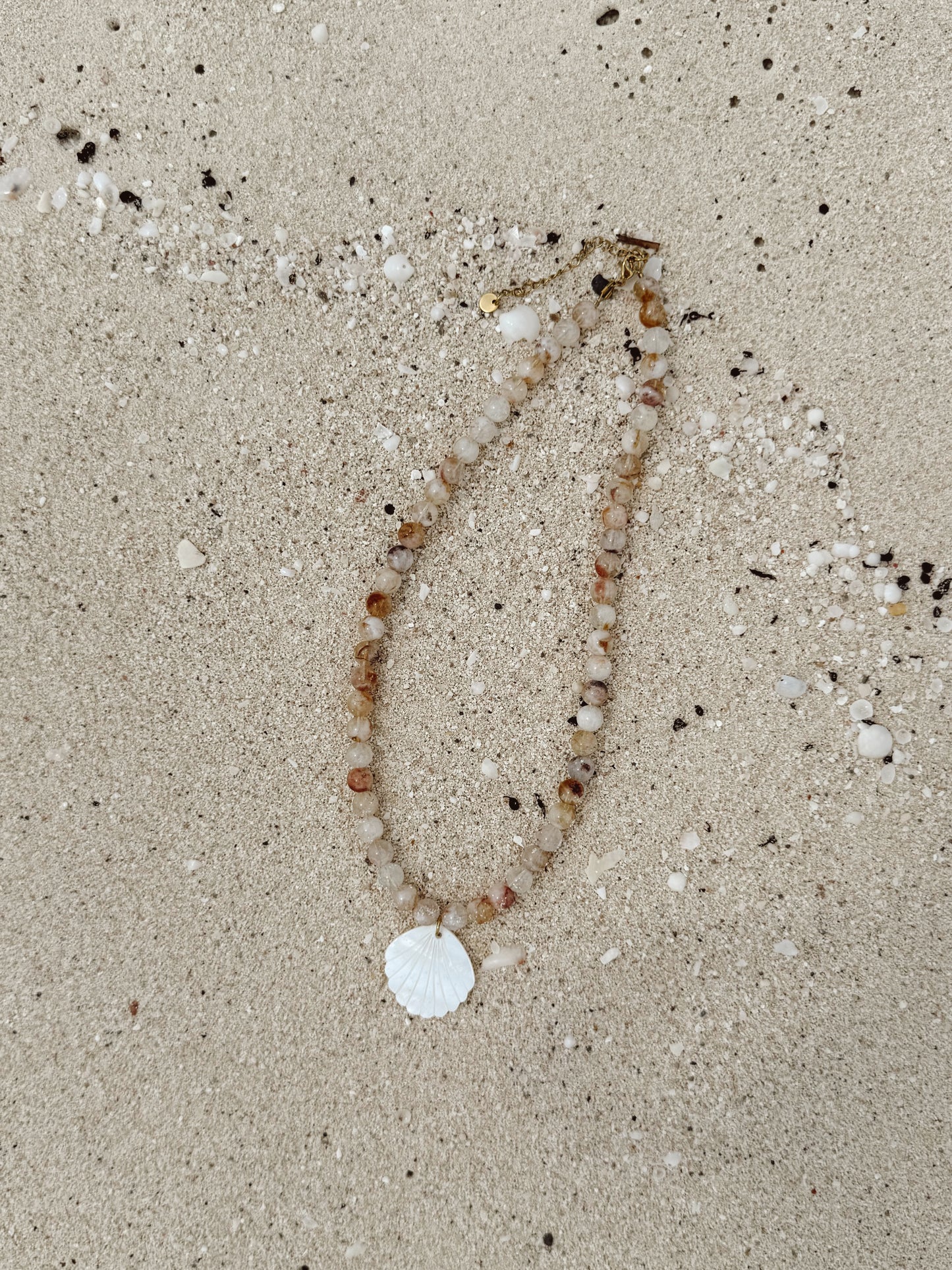 The Golden Hour Shell Necklace