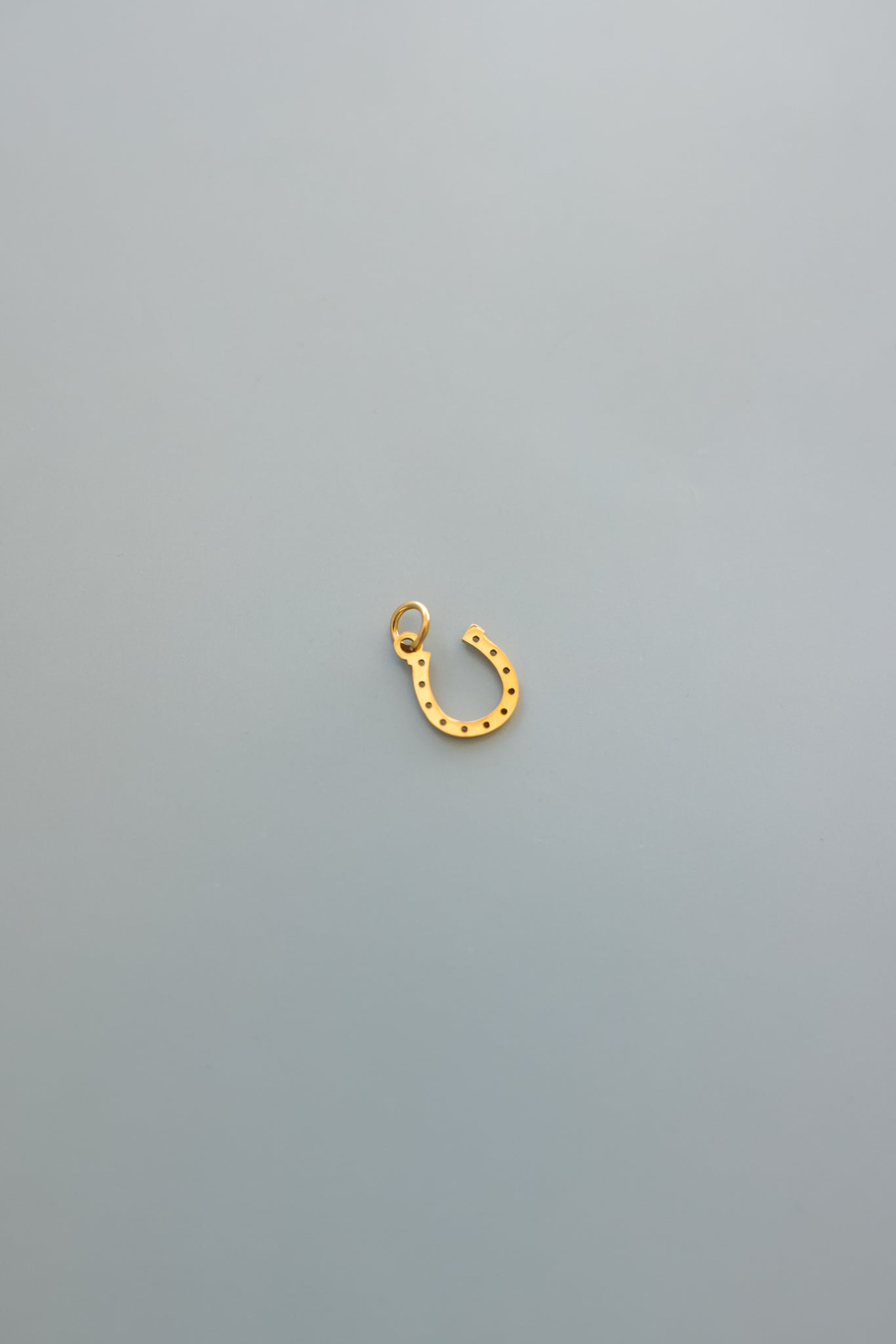 Gold Horseshoe Charm