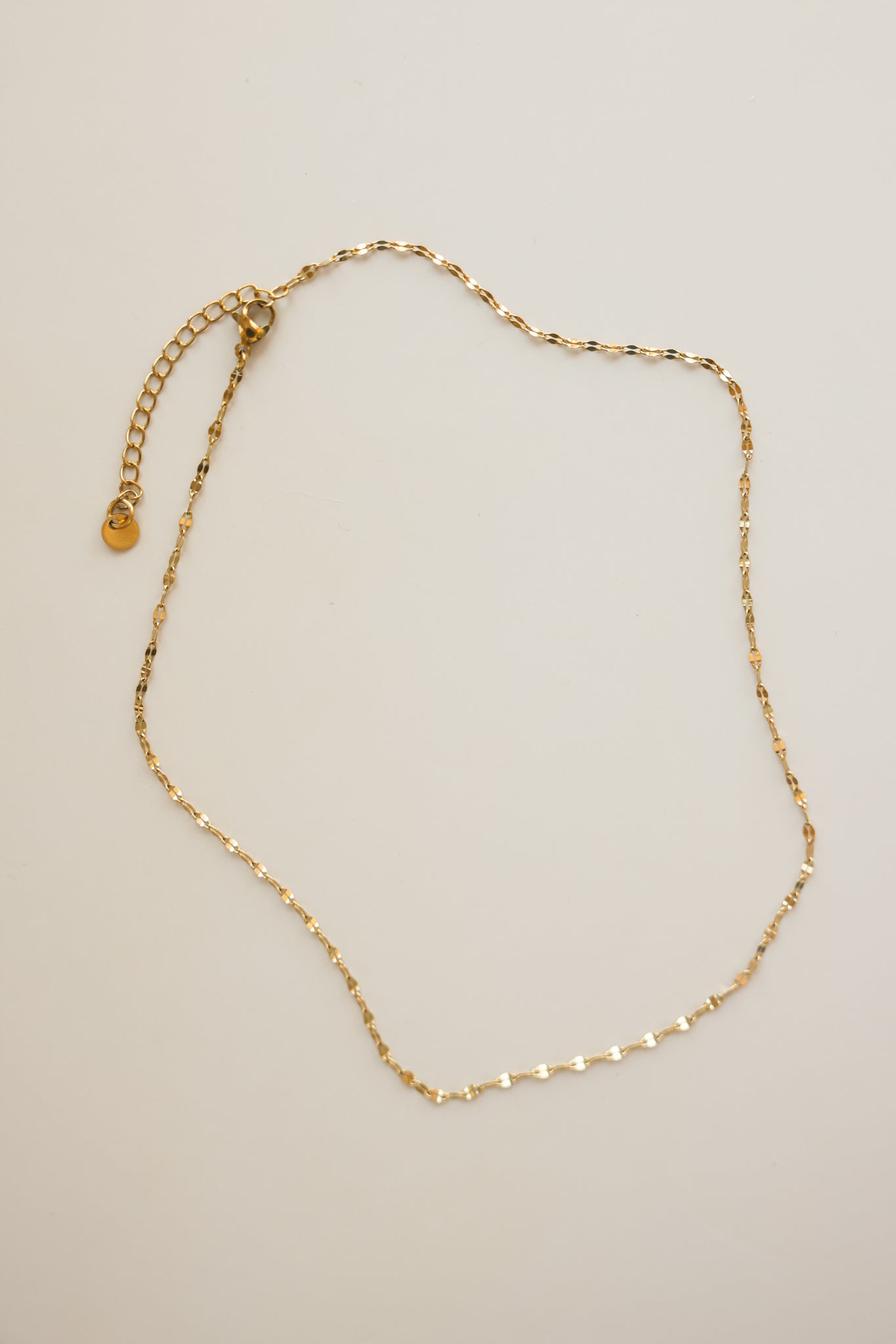Dapped Chain Necklace