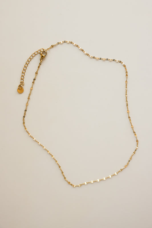 Dapped Chain Necklace