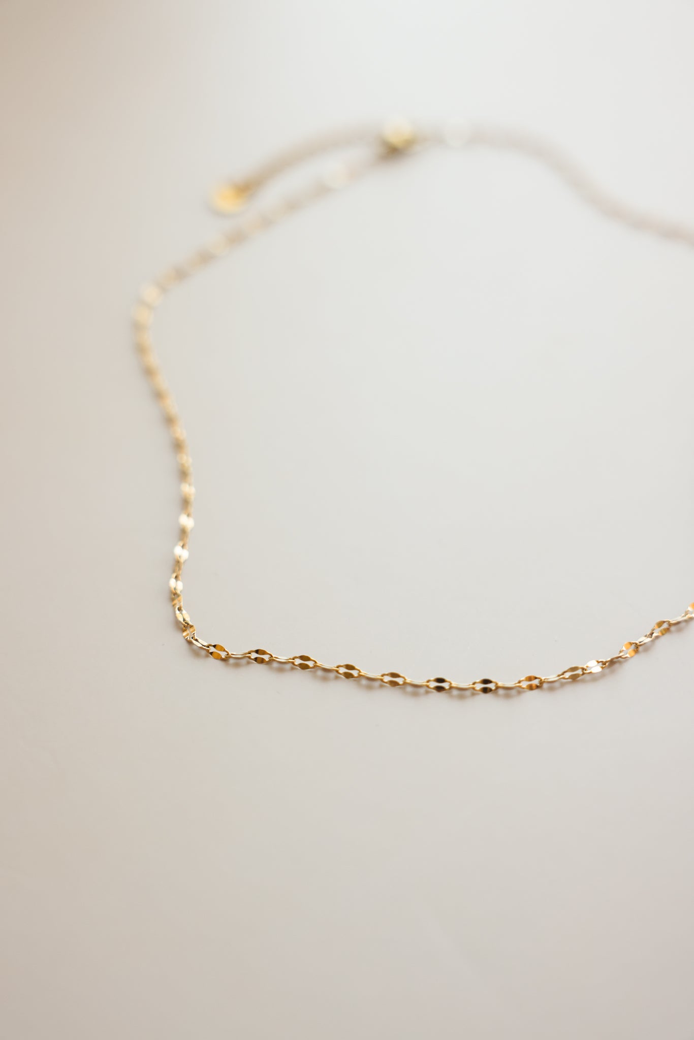 Dapped Chain Necklace