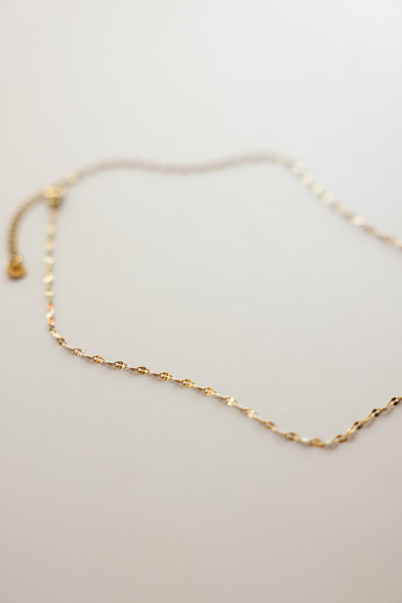 Dapped Chain Necklace