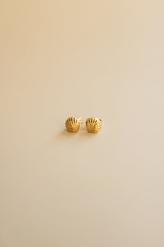 Gold Shell Stud Earrings