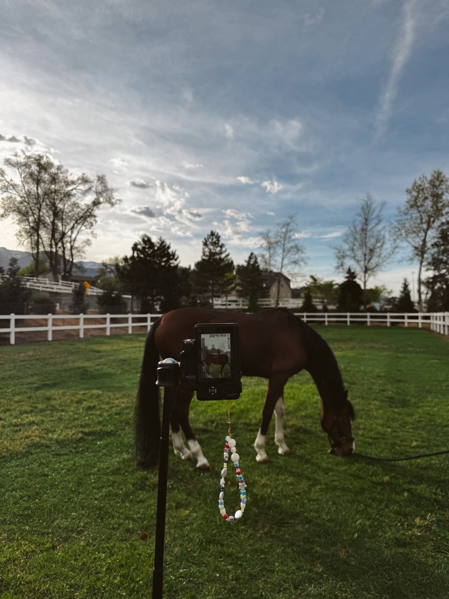 On-the-Go Camera Charms