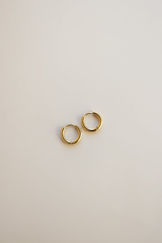 Small Huggie Hoop Earrings